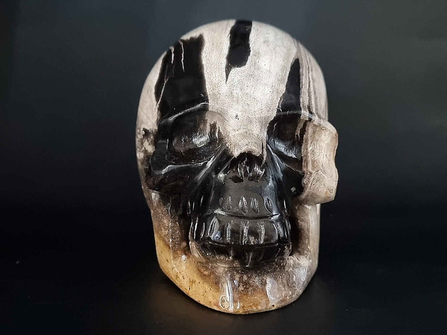 Fossilized Wood Carved Skull