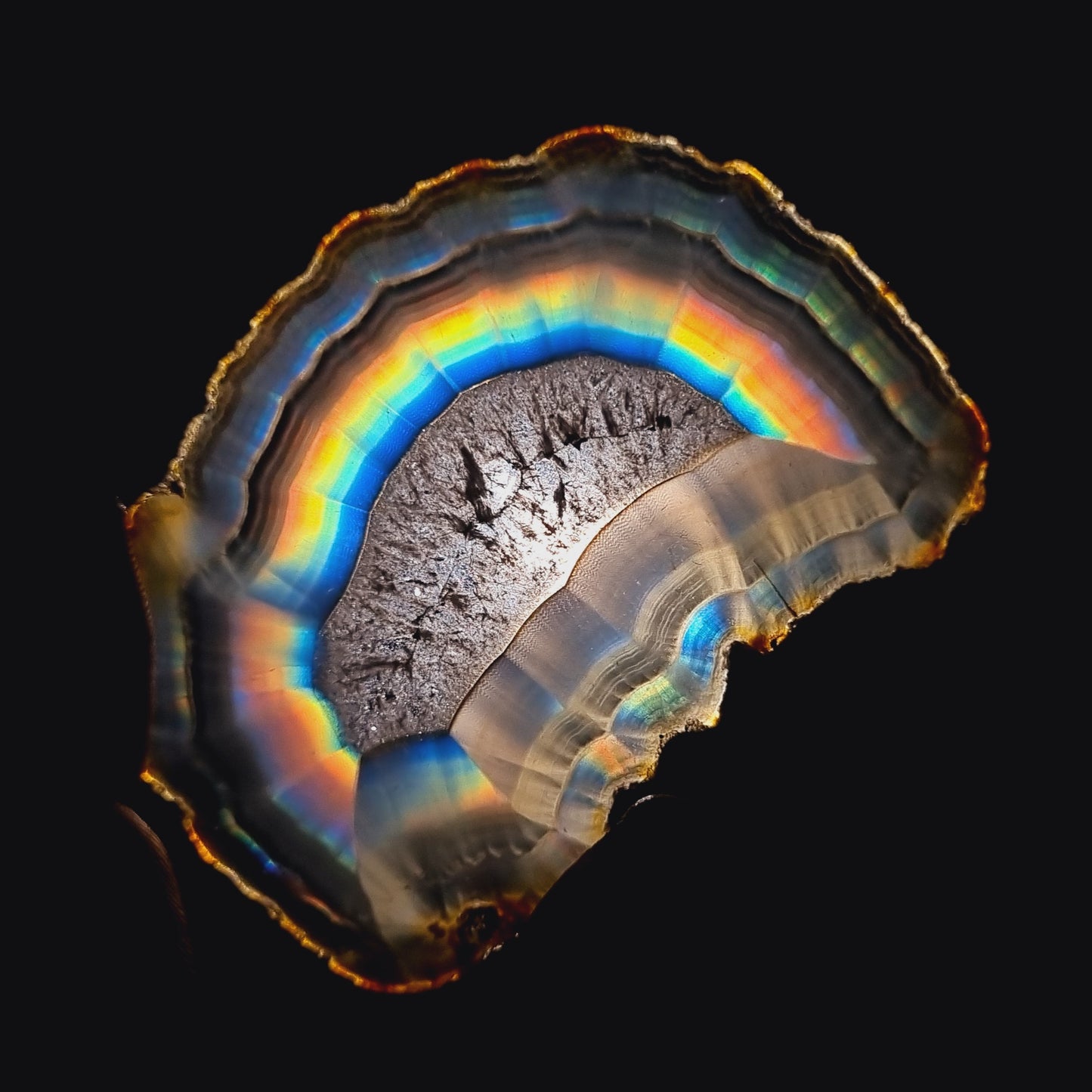 Gorgeous Iris Agate Slice - Rare Collection of Indonesia Rainbow Iris Agate