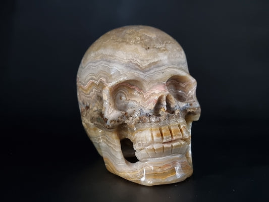 Crazy Lace Agate Carved Skull