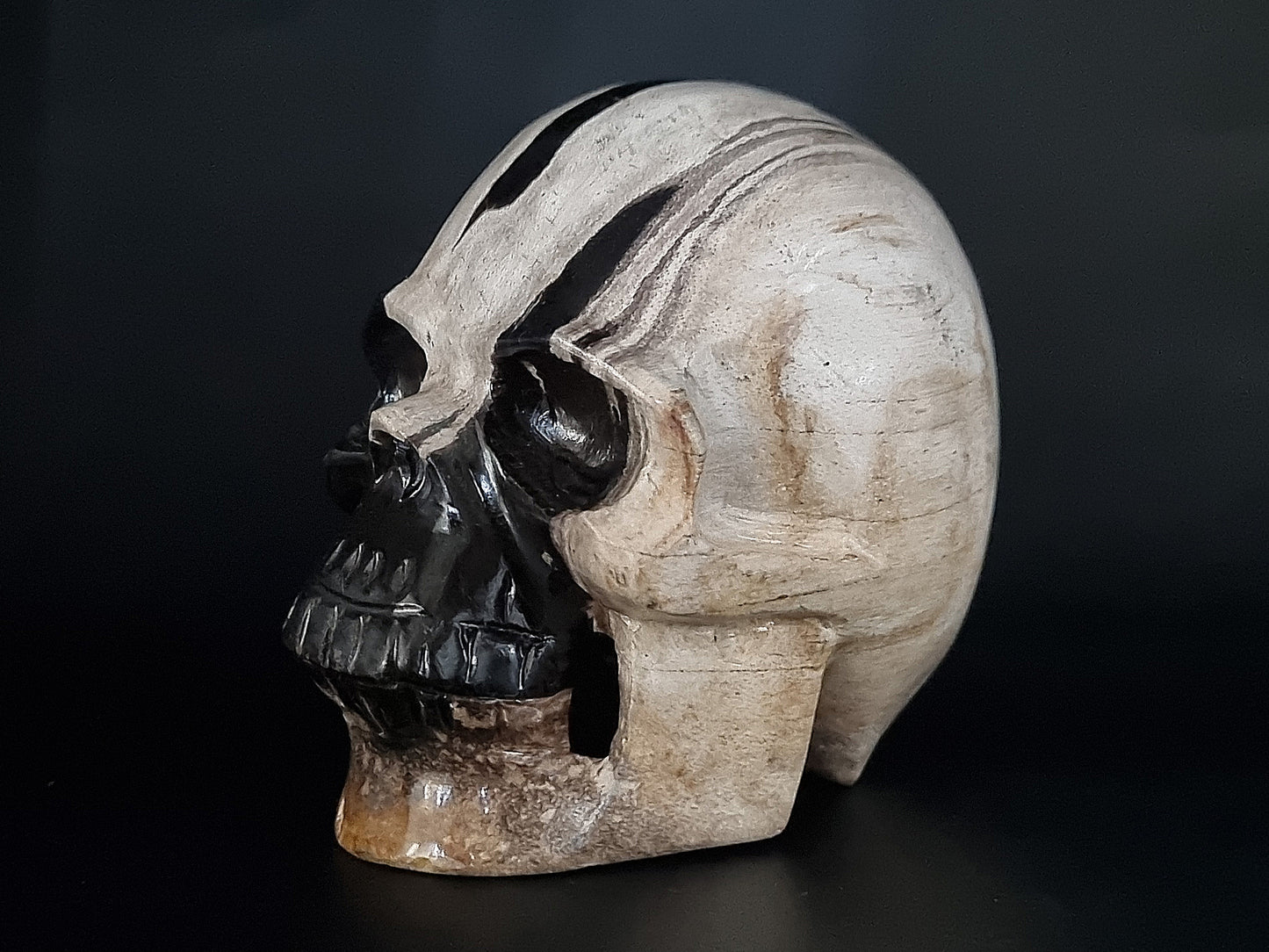 Fossilized Wood Carved Skull