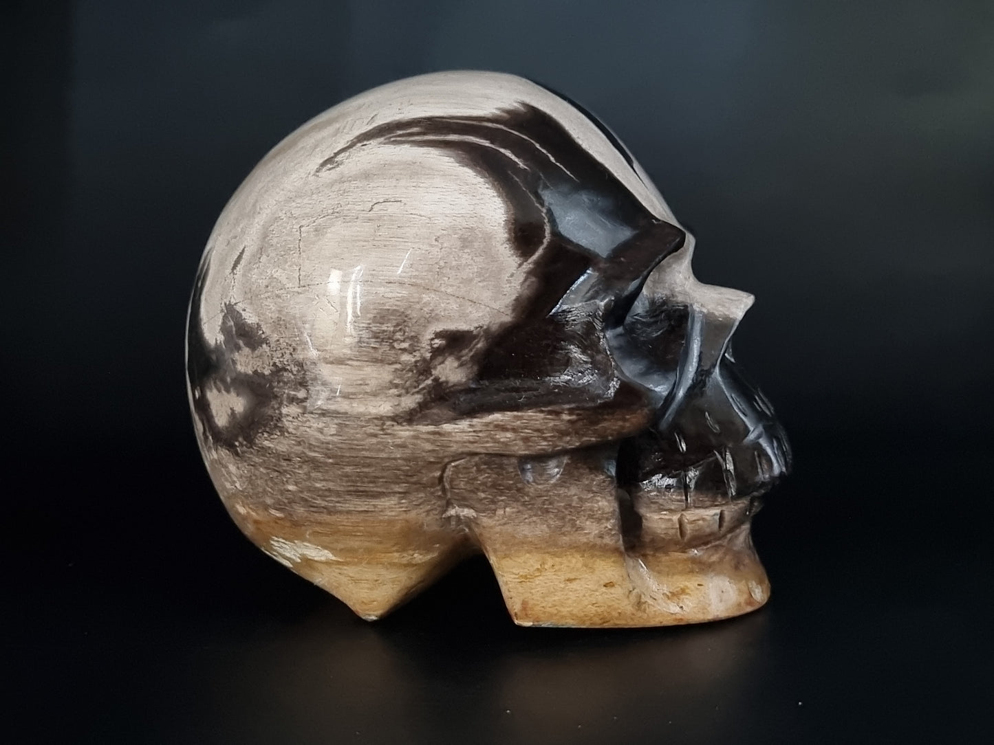 Fossilized Wood Carved Skull