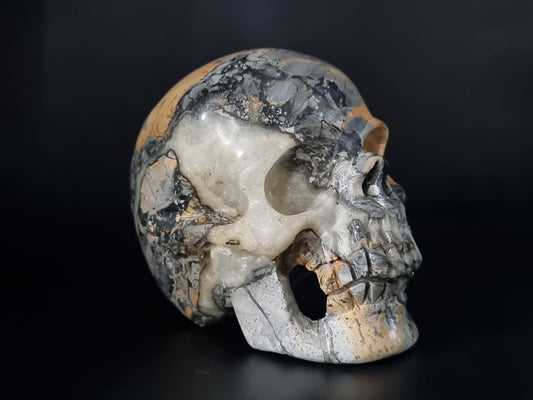 Maligano Jasper Skull