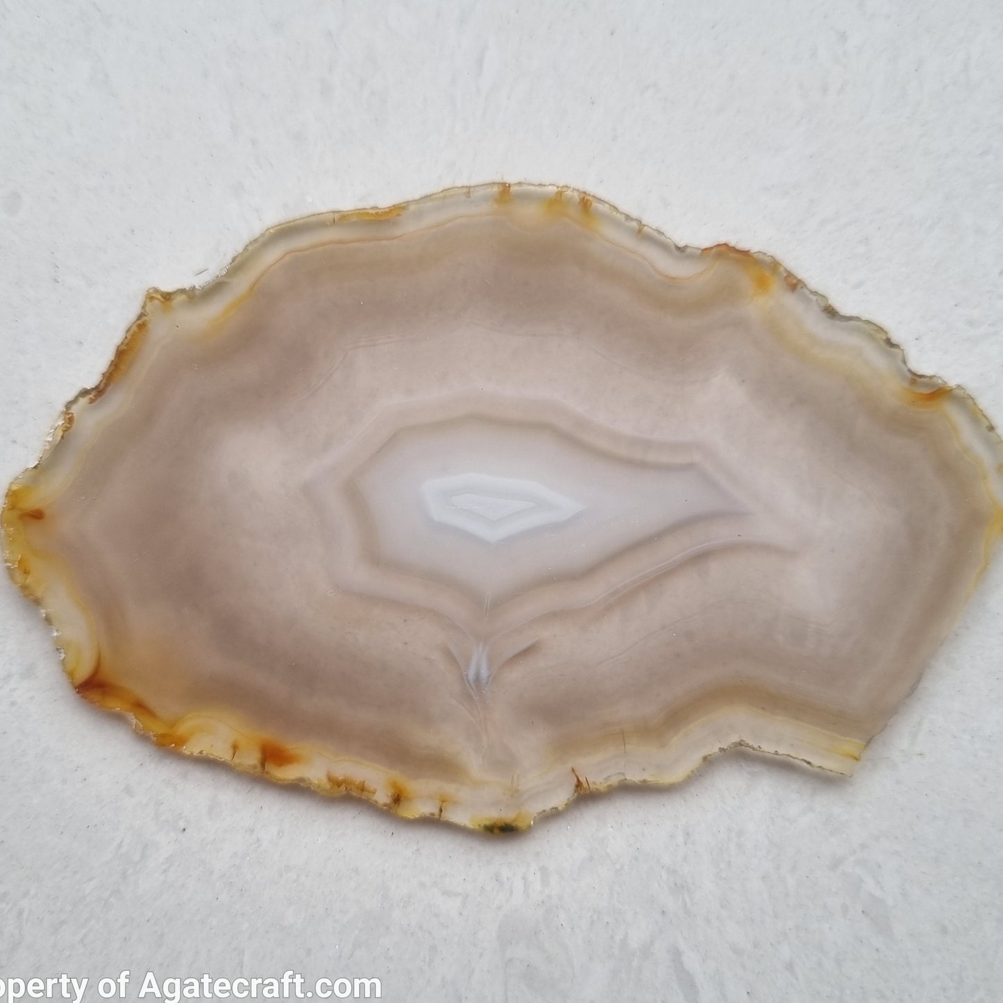 Magnificent Iris Agate Slice - Rare Collection of Indonesia Rainbow Iris Agate