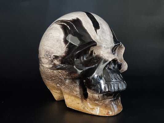 Fossilized Wood Carved Skull